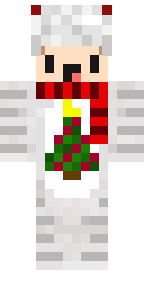 agent113 camoufler