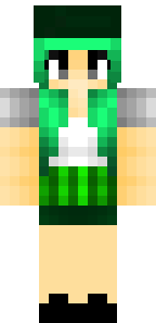 hacker super skin