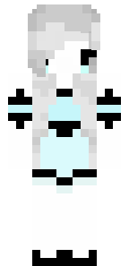 Ninja Gamerz cool pro skin