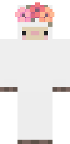 skin de minecraft